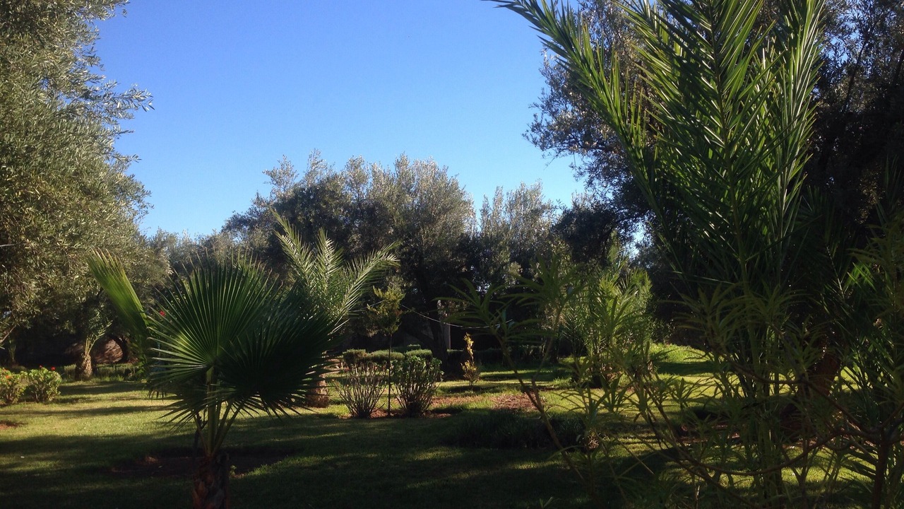 Photo of Outdoor in Zaouia Sidi Abdallah Ben Sassi