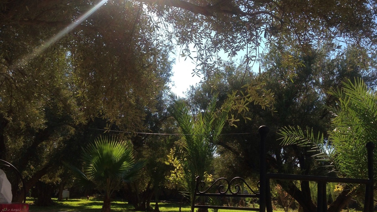 Photo of Outdoor in Zaouia Sidi Abdallah Ben Sassi