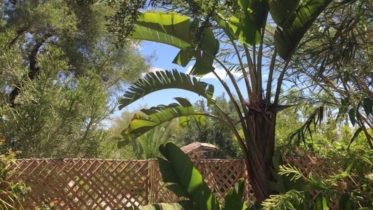 Photo of Outdoor in Ounagha
