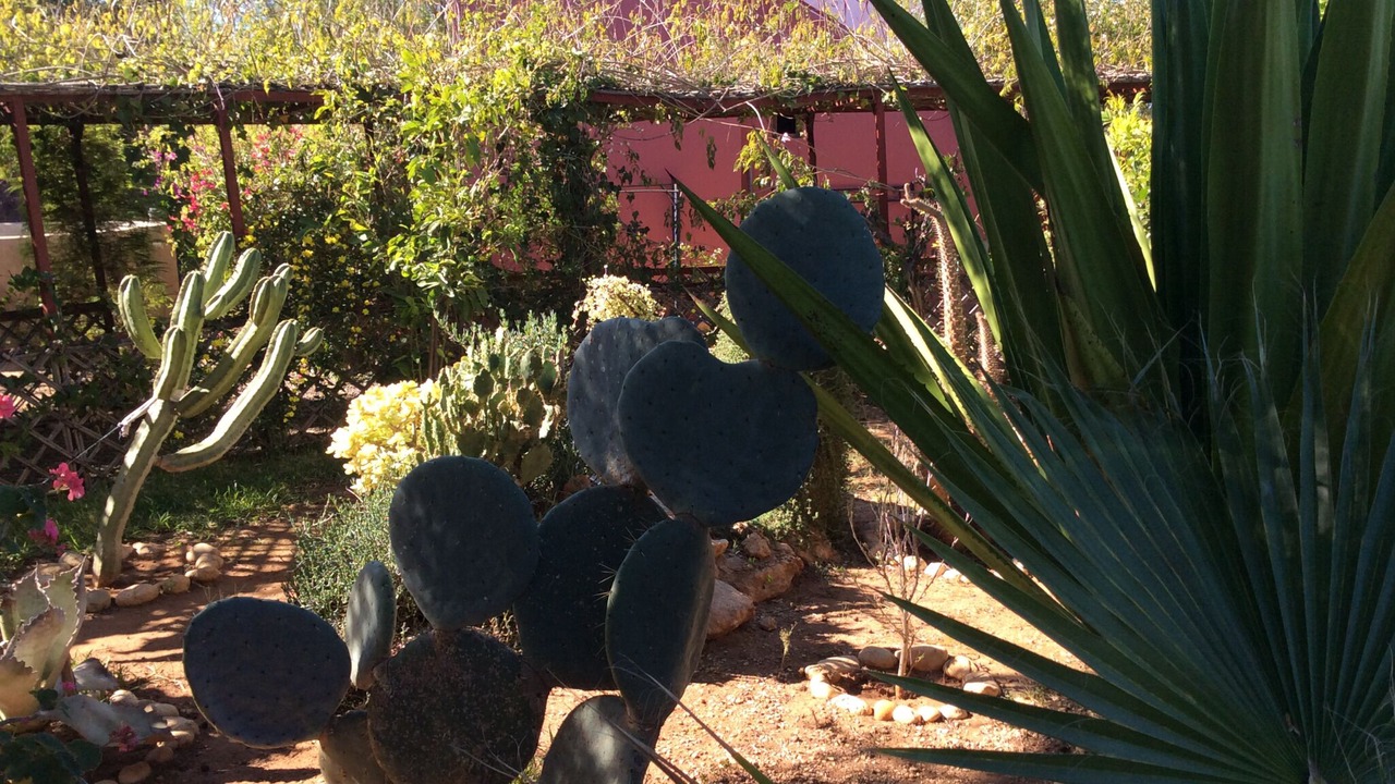 Photo of Outdoor in Ounagha