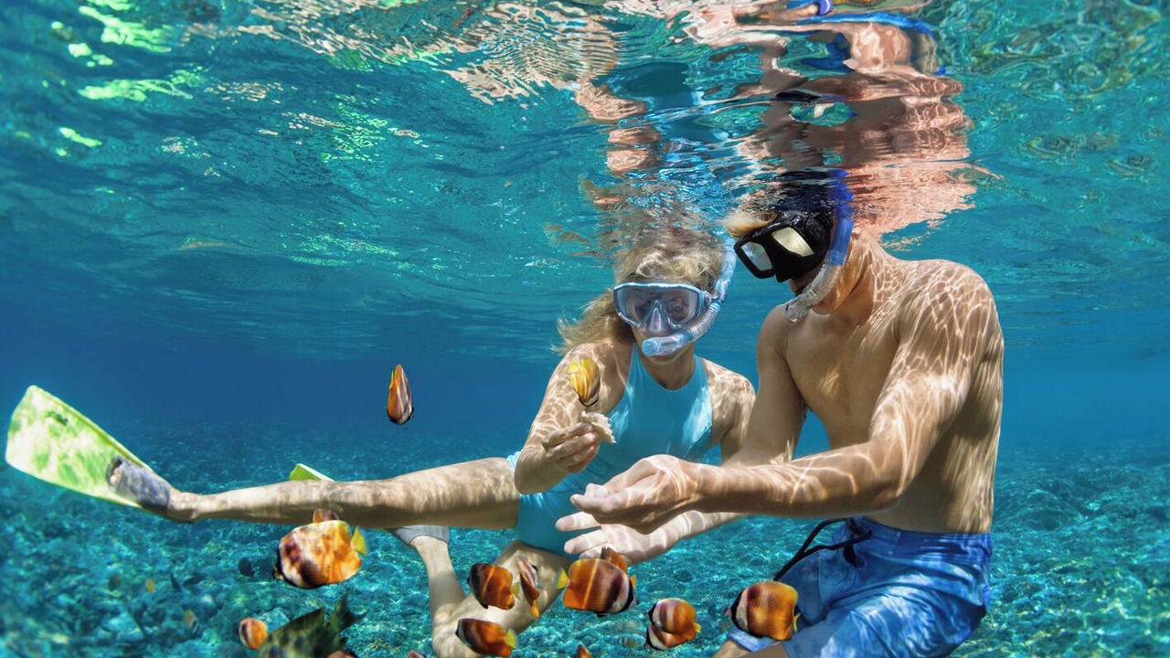 Photo of Others in Tourlos