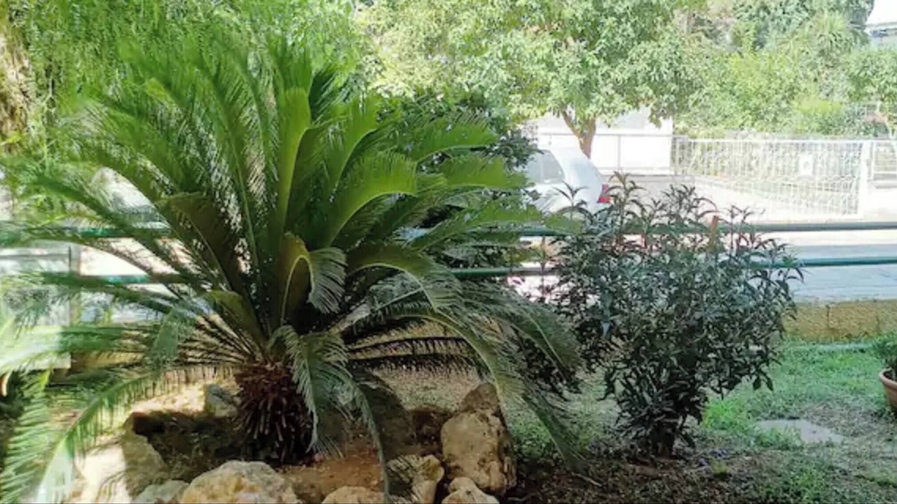 Photo of Outdoor in Marousi