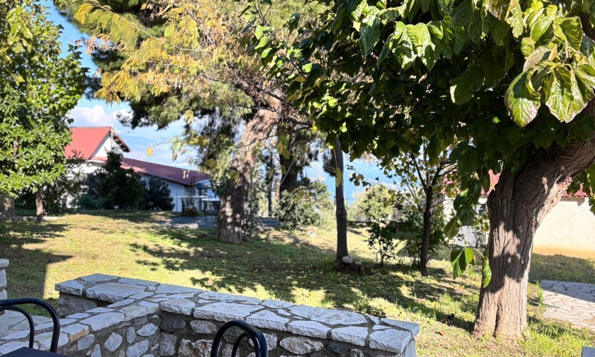 Photo of Outdoor in Eliki