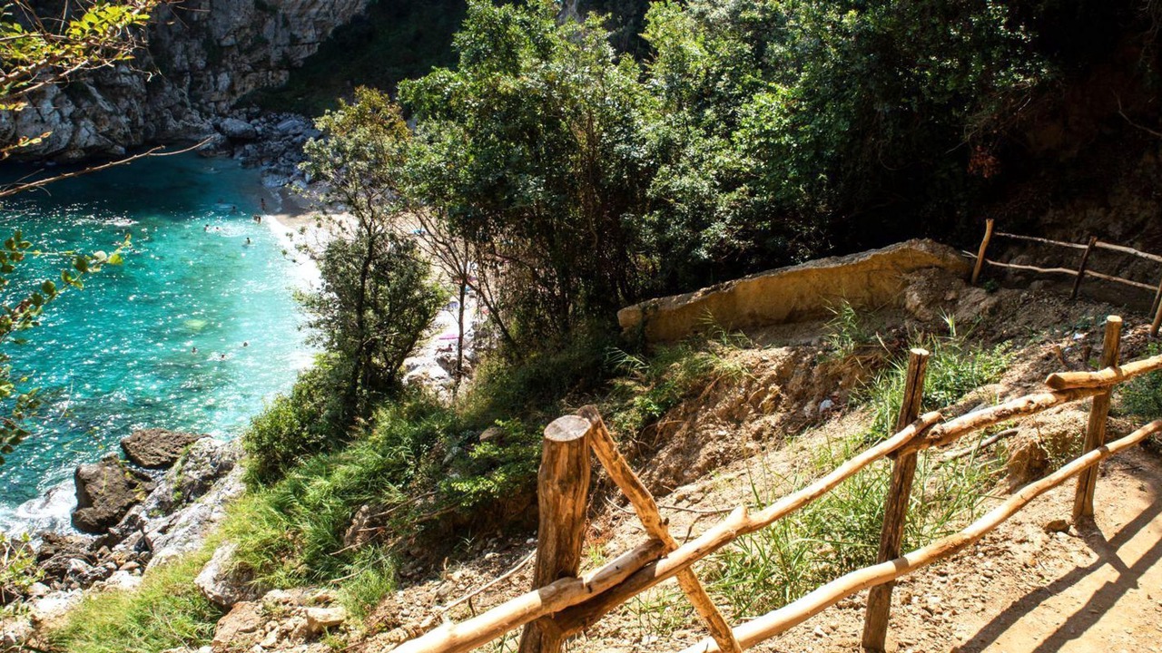 Photo of Others in Agios Dimitrios