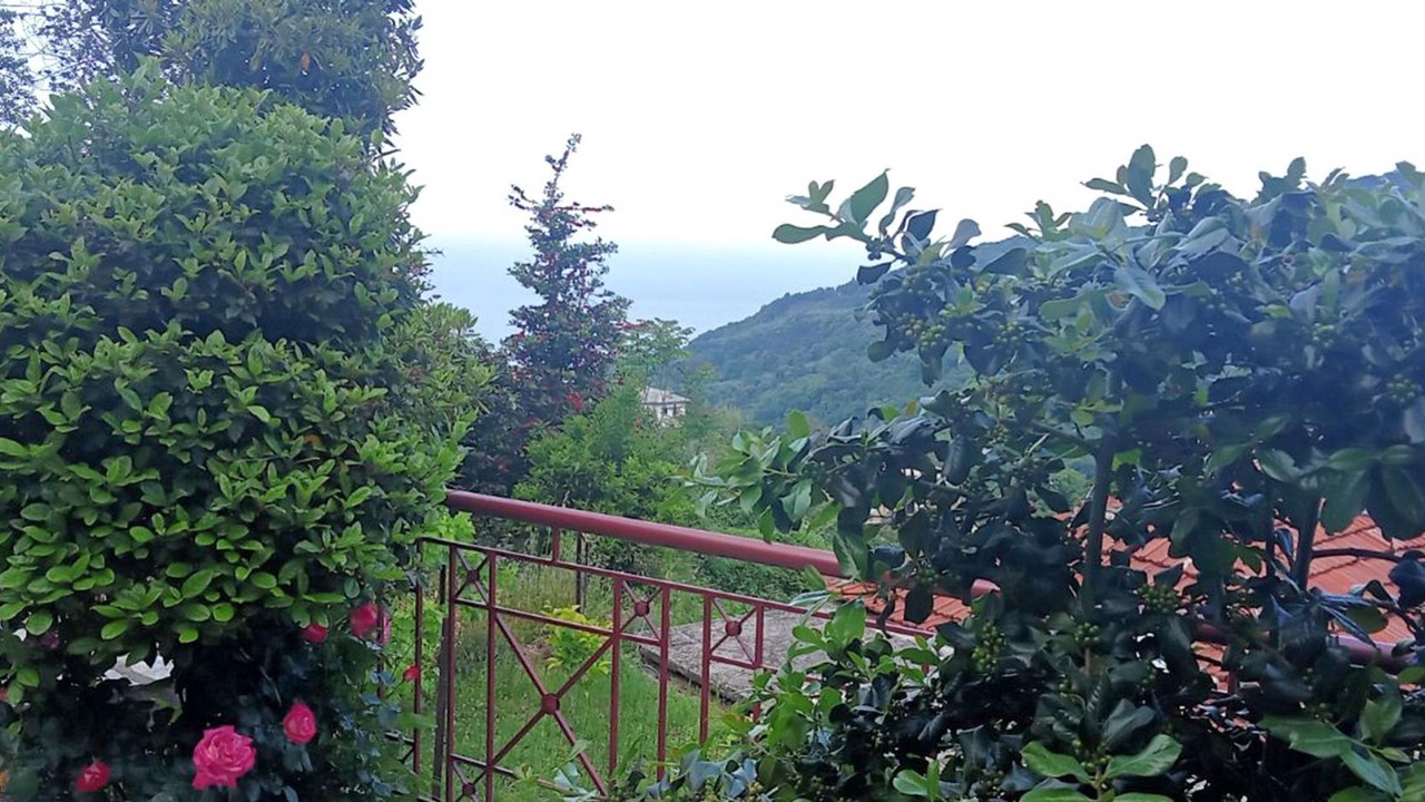 Photo of Outdoor in Makrirrakhi
