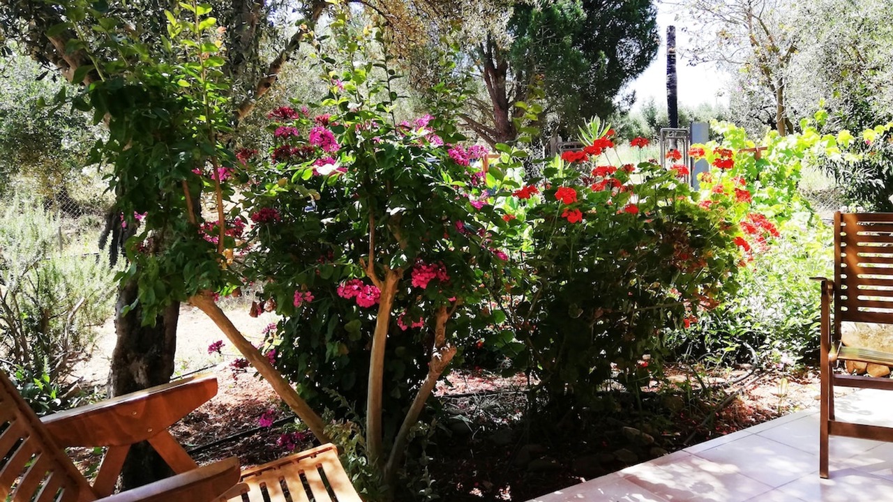 Photo of Patio Balcony in Agrilos