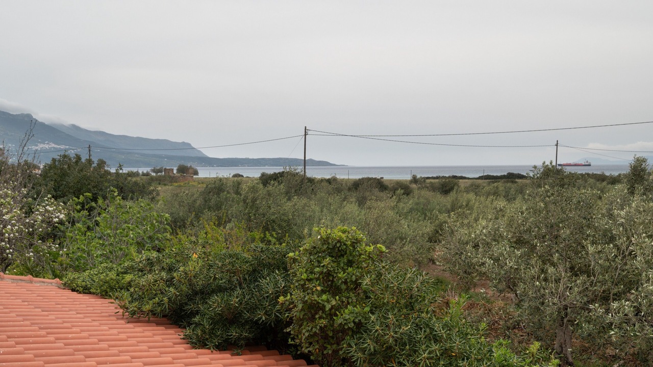 Photo of Others in Voia