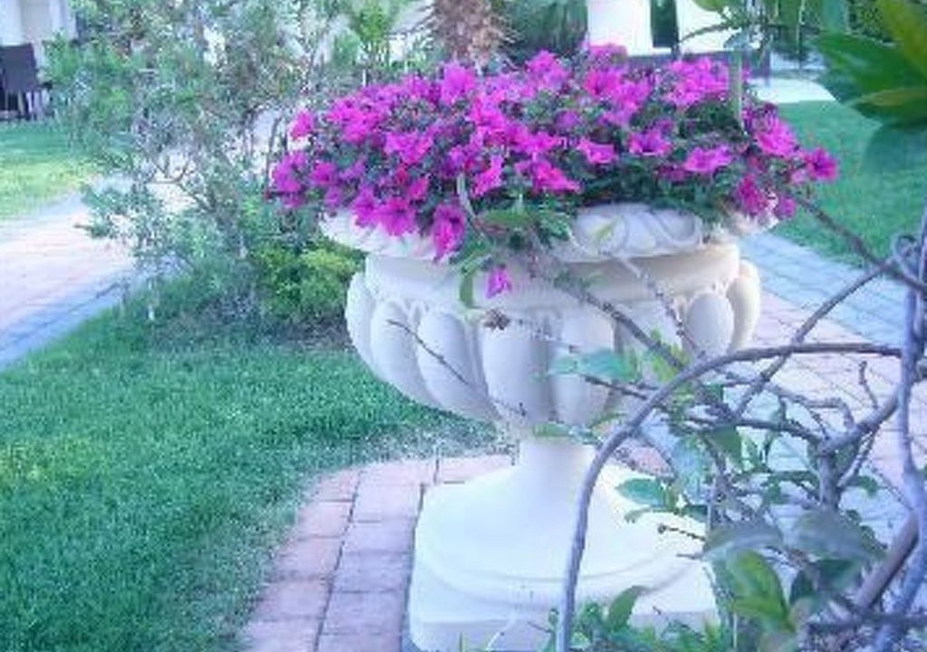 Photo of Outdoor in Polichrono