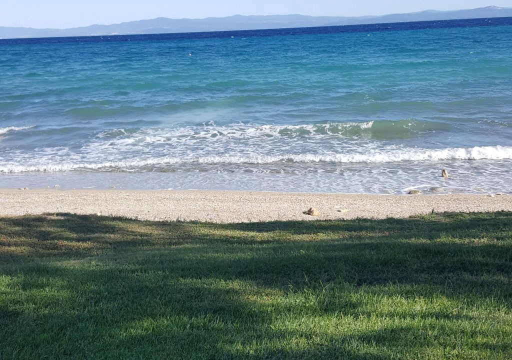 Photo of Others in Polichrono