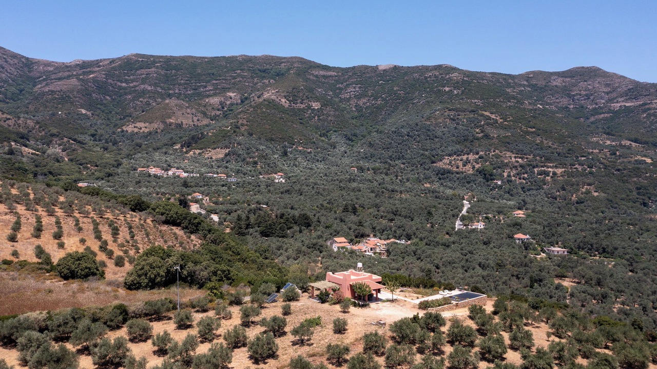 Photo of Others in Milia