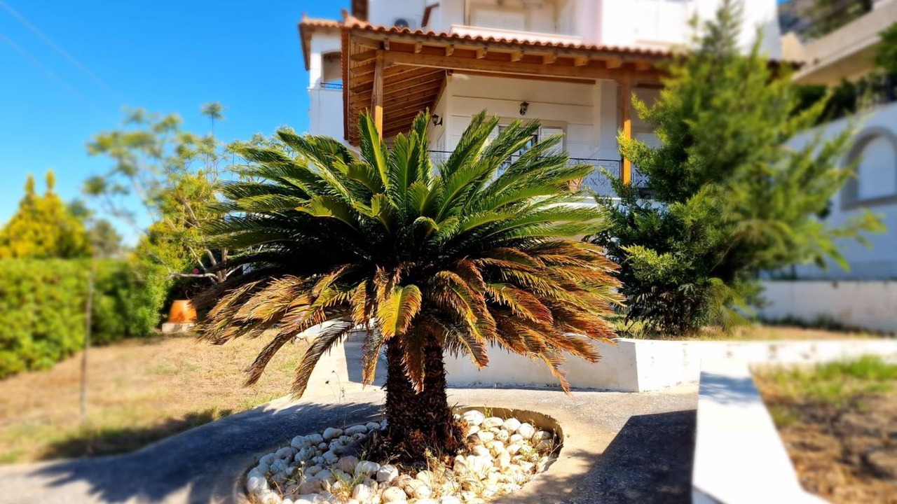 Photo of Outdoor in Porto Rafti