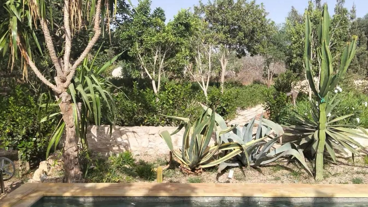 Photo of Outdoor in Essaouira