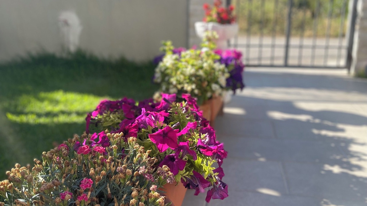 Photo of Outdoor in Eretria