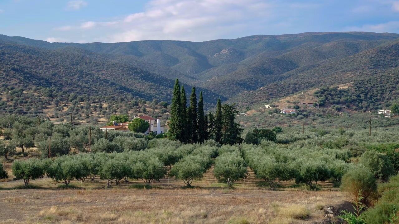 Photo of Others in Plepi