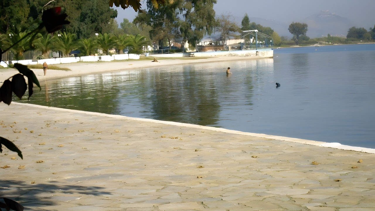 Photo of Others in Mili