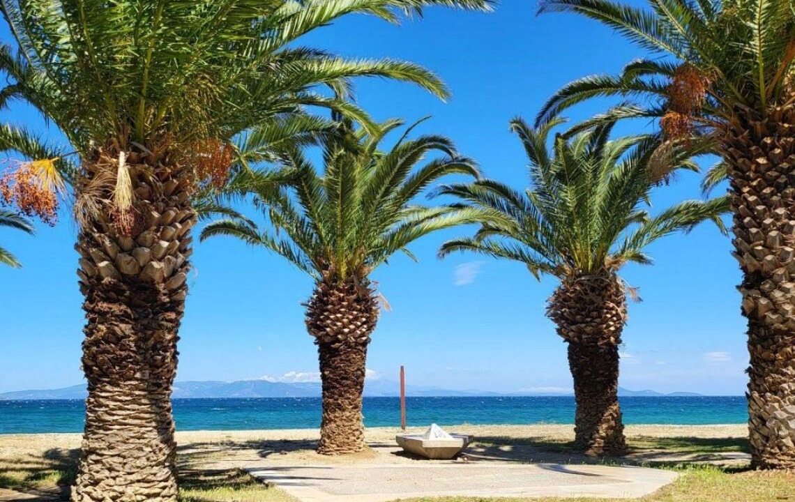 Photo of Others in Nea Makri