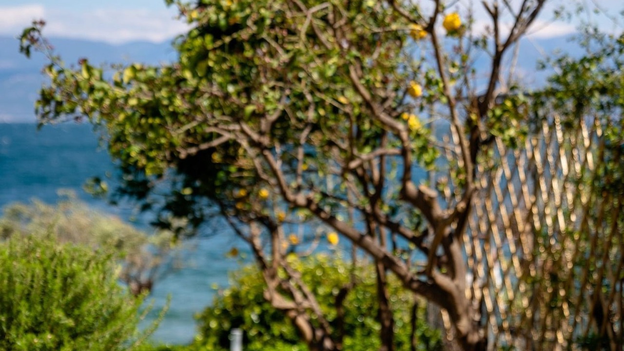 Photo of Outdoor in Kato Rodini