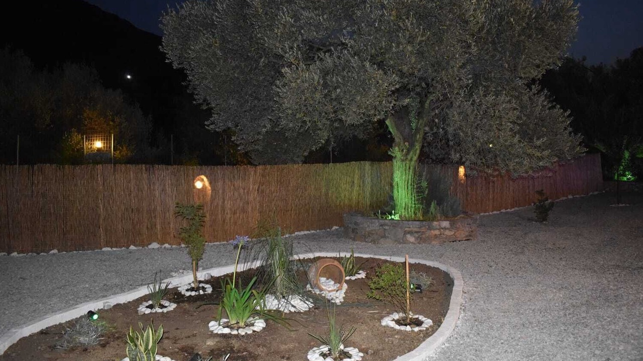 Photo of Outdoor in Amari