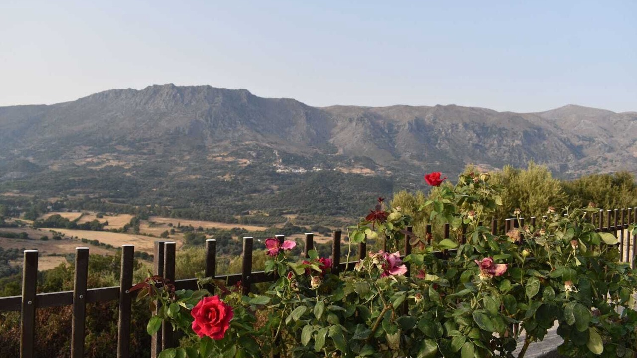 Photo of Outdoor in Amari
