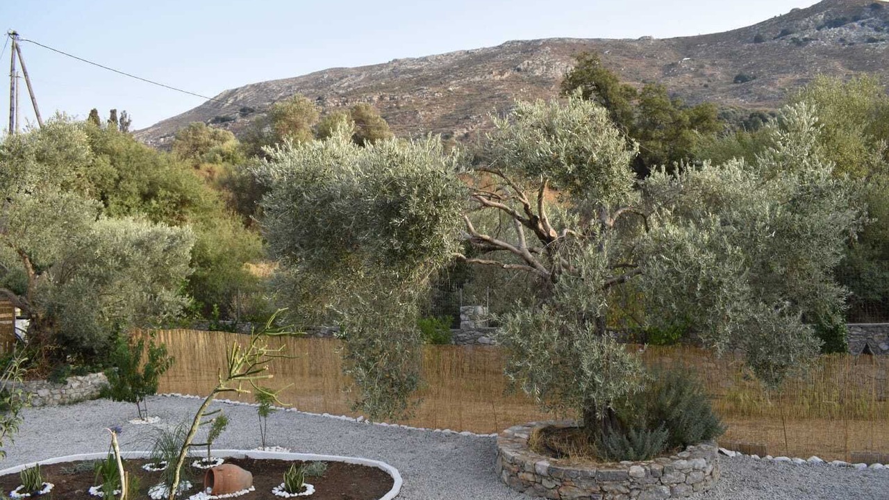Photo of Outdoor in Amari
