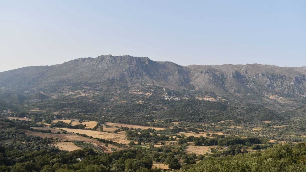 Photo of Others in Amari