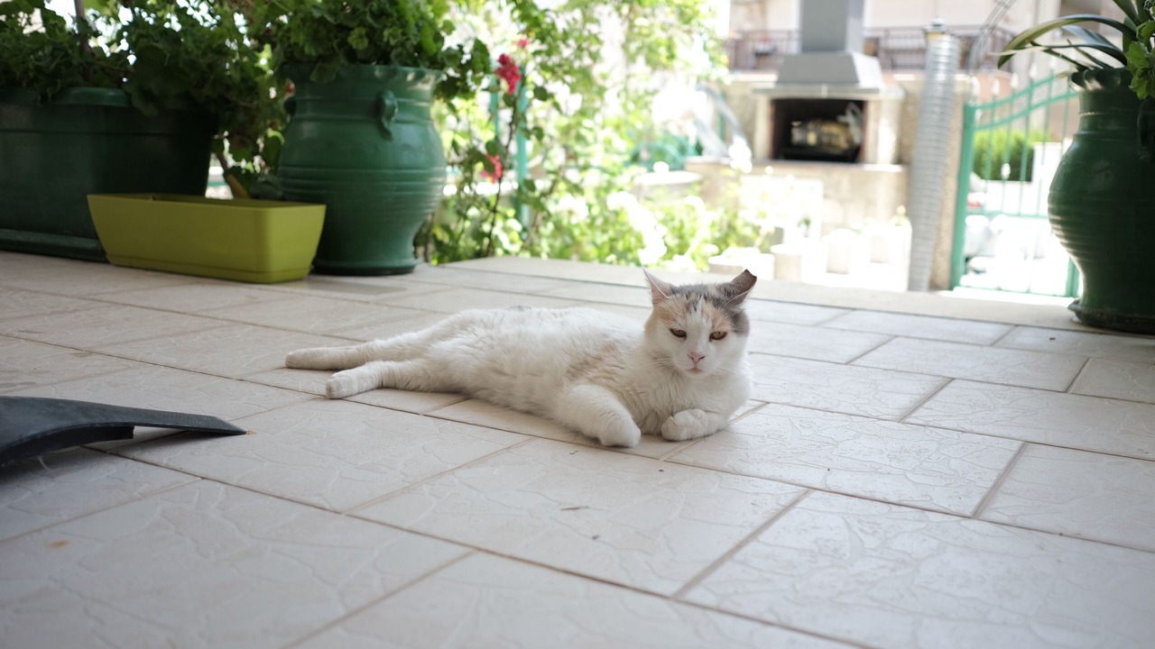 Photo of Outdoor in Kallithea
