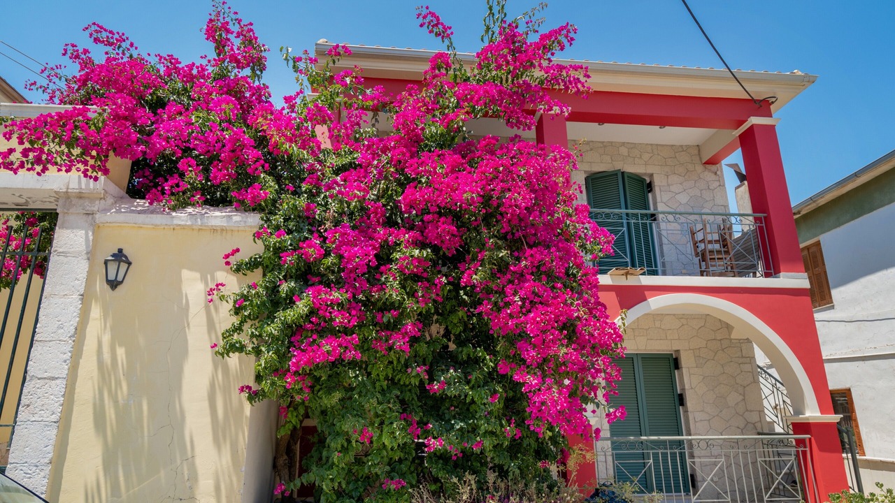 Photo of Outdoor in Katomerion
