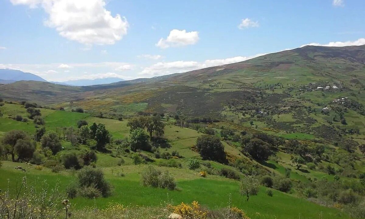 Photo of Others in Tazroute