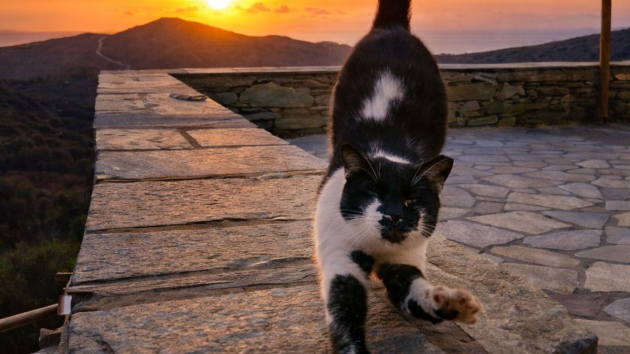 Photo of Others in Andros