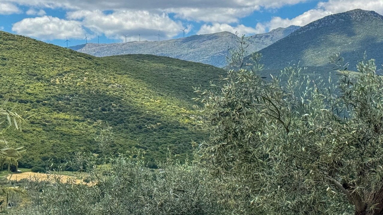 Photo of Others in Lirkia