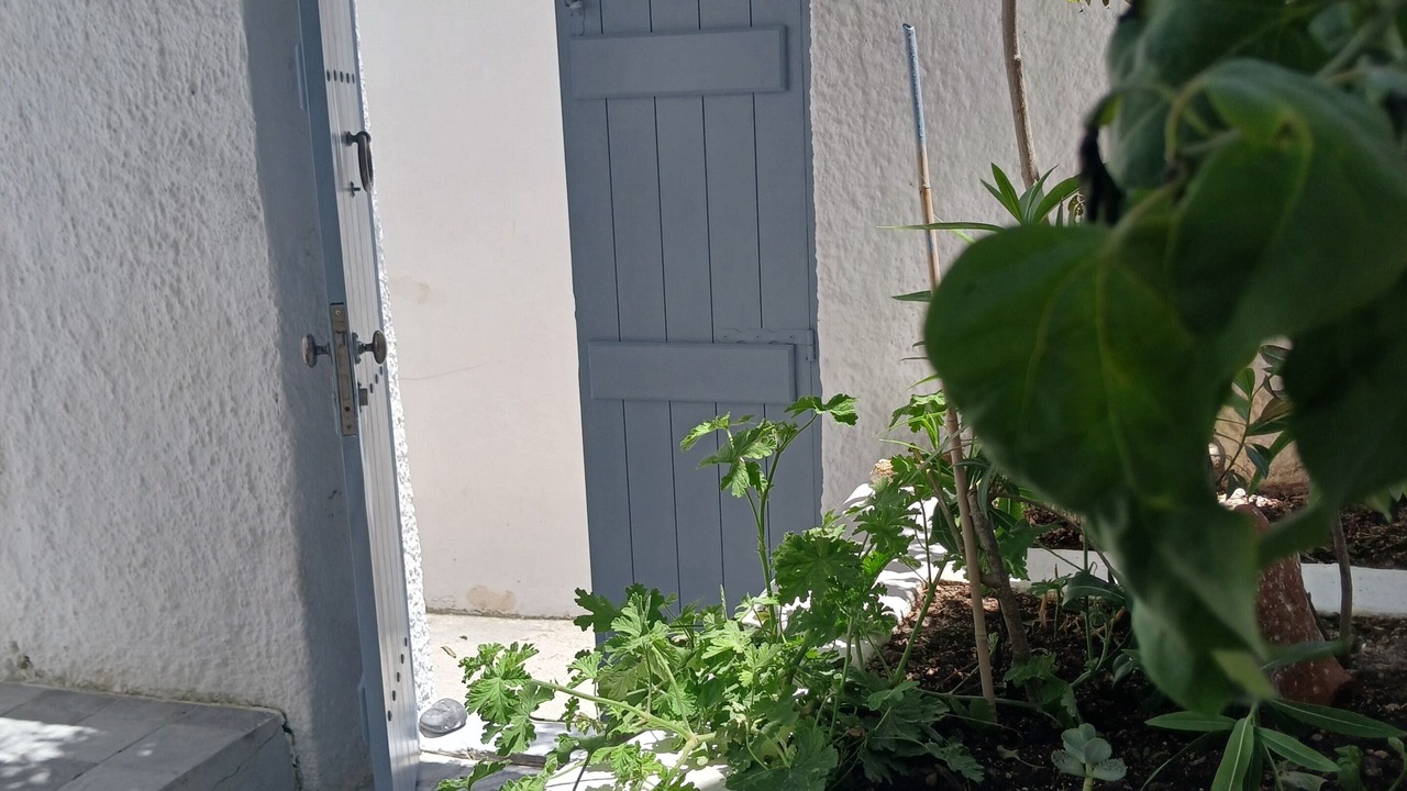Photo of Others in Pyrgos
