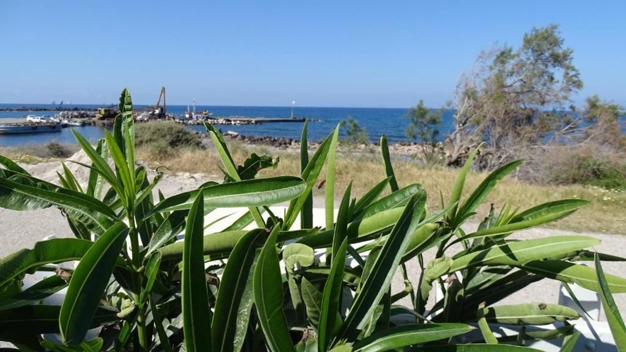 Photo of Others in Monolithos