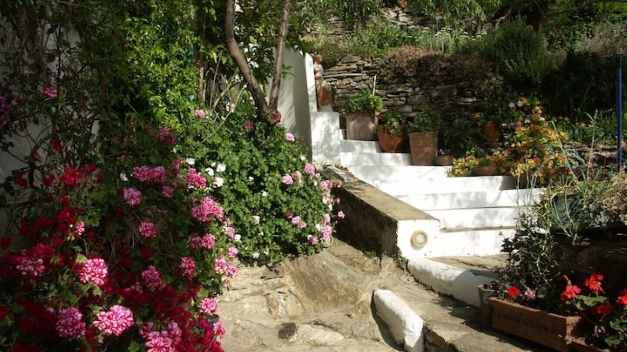 Photo of Outdoor in Andros