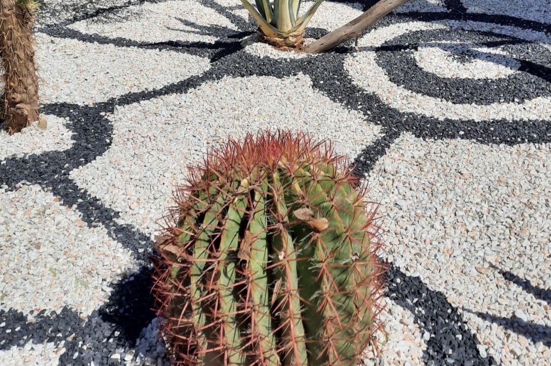 Photo of Outdoor in Sidi Abdallah Ghiat