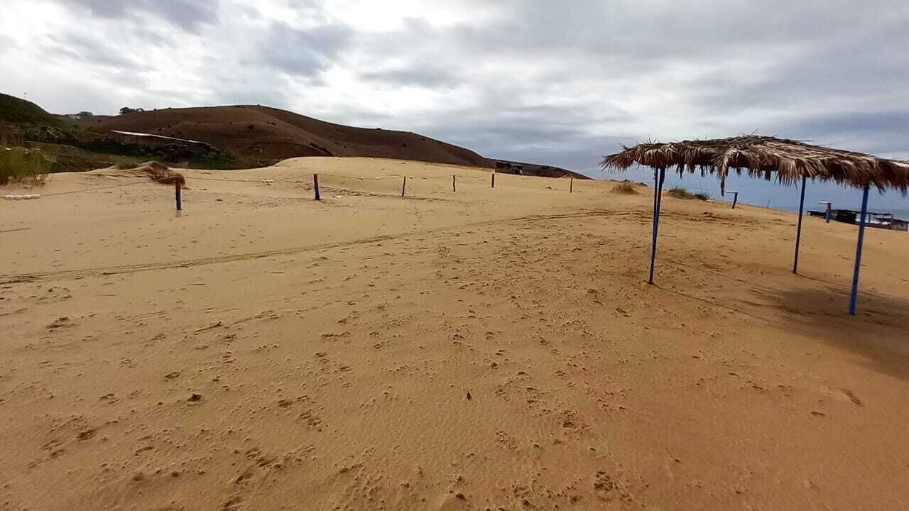 Photo of Others in Sahel