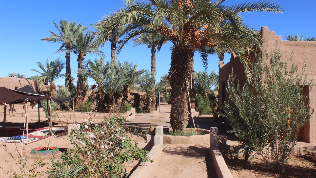 Photo of Outdoor in M'Hamid El Ghizlane