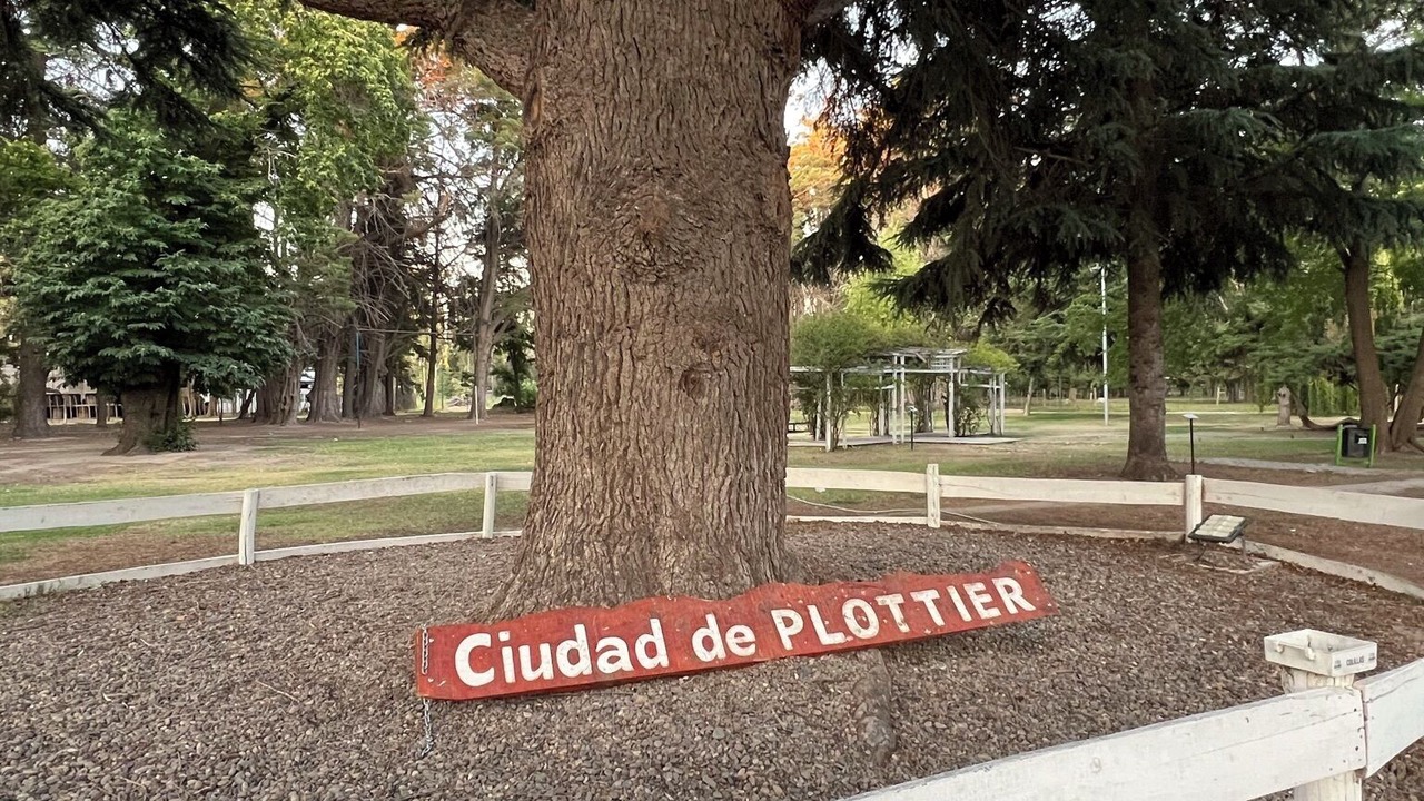 Photo of Others in Plottier