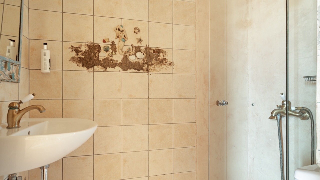 Photo of Bathroom in Vathy