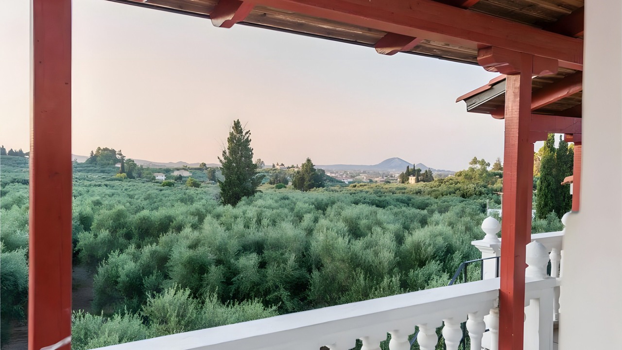 Photo of Outdoor in Laganas