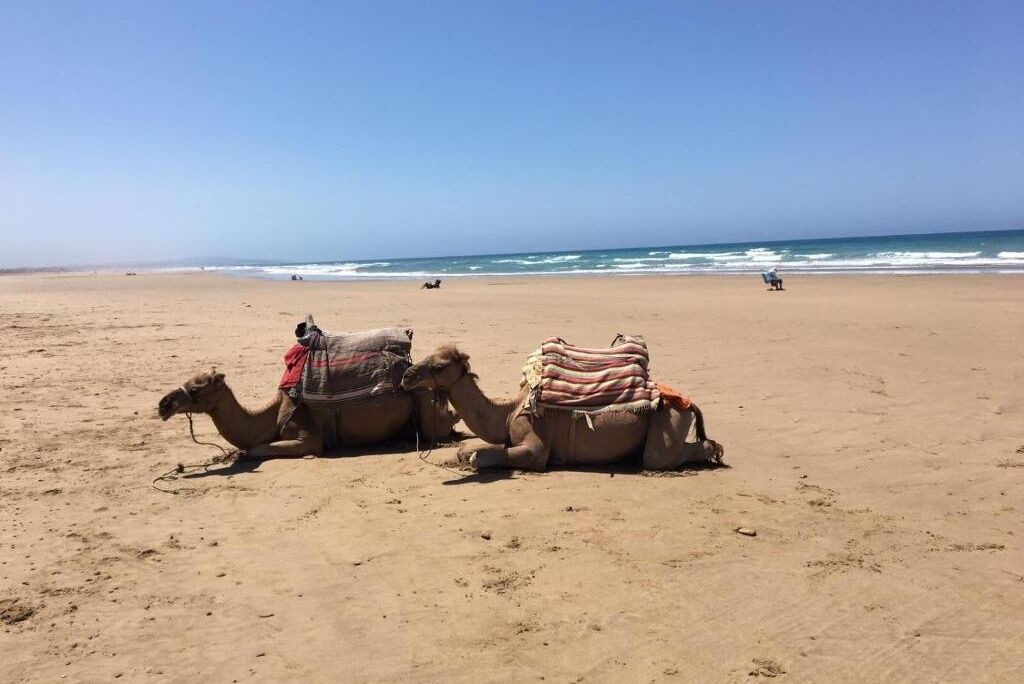 Photo of Others in Asilah