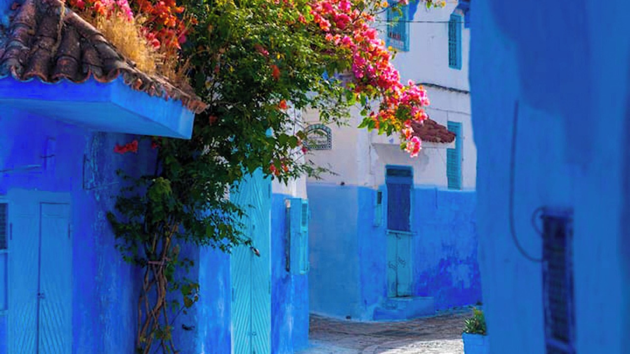 Photo of Outdoor in Chefchaouen