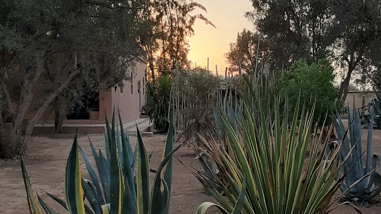 Photo of Outdoor in Taroudannt