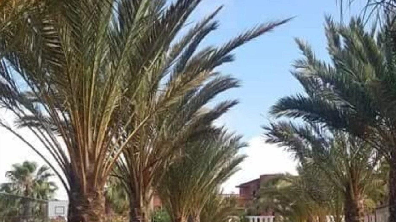 Photo of Outdoor in Tiznit