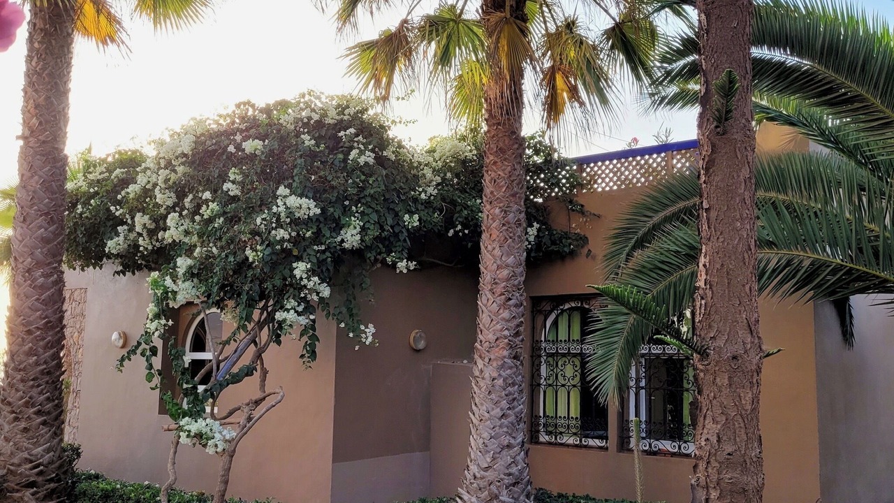 Photo of Outdoor in Tiznit