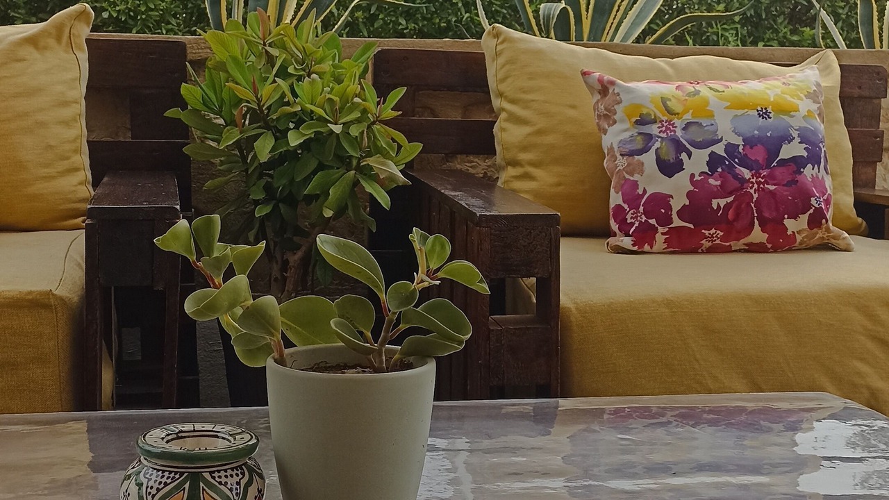 Photo of Patio Balcony in Imi Ouaddar