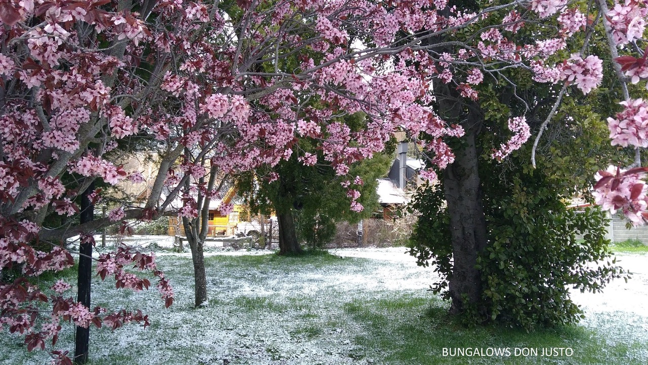 Photo of Outdoor in San Carlos de Bariloche