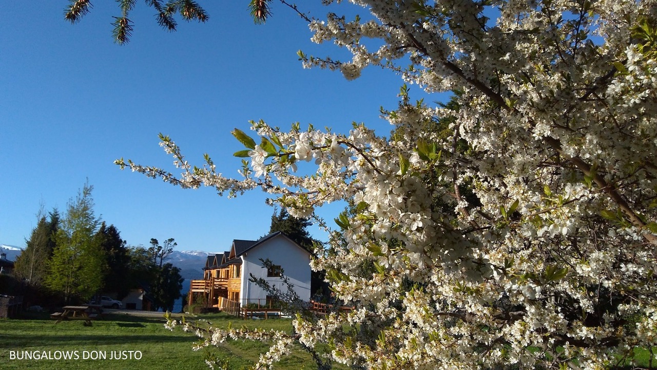 Photo of Outdoor in San Carlos de Bariloche
