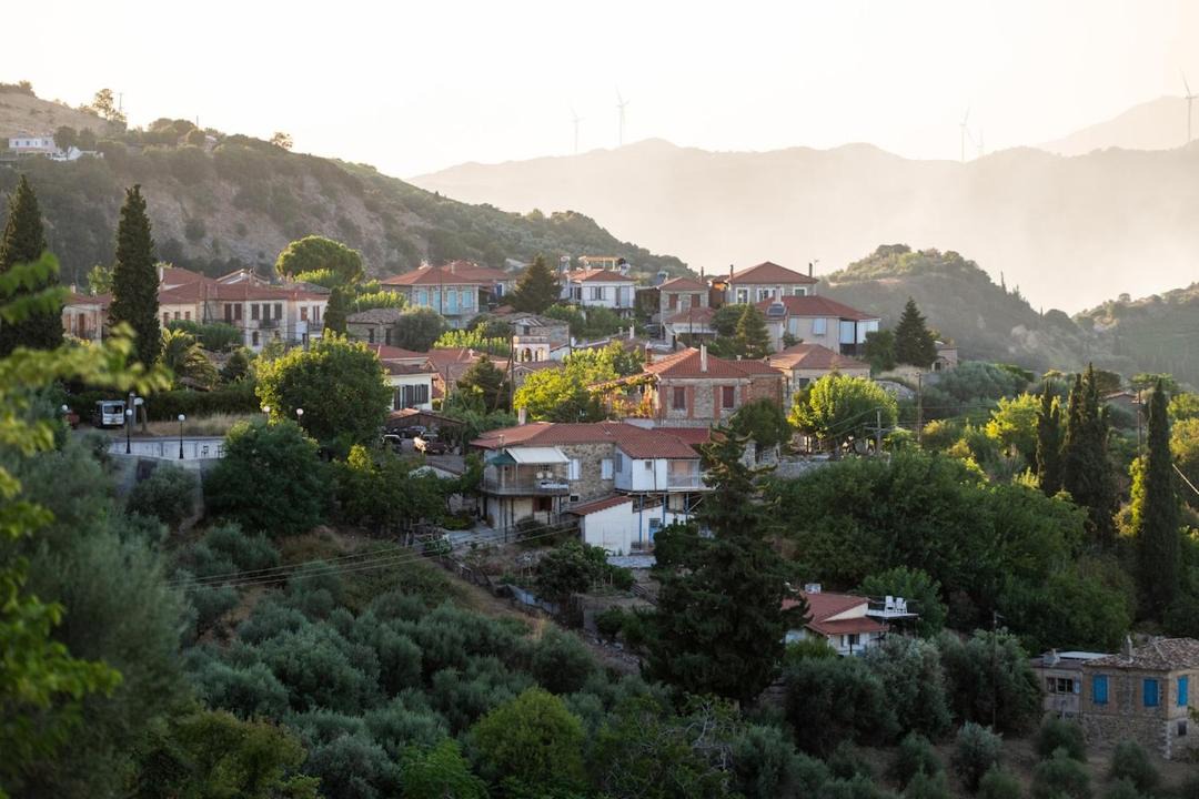 Photo of Others in Grigoris