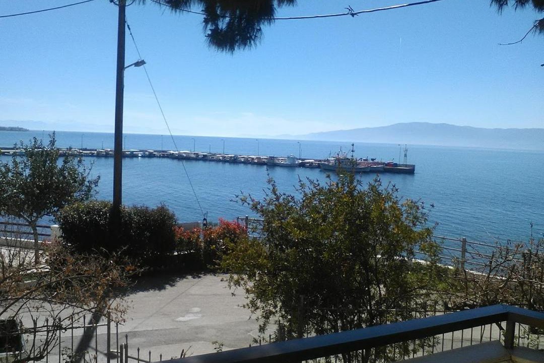 Photo of Others in Amarinthos