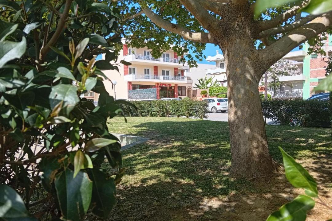 Photo of Others in Skala